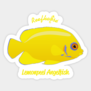 Lemonpeel Angelfish Sticker